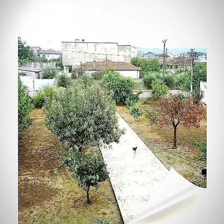 Elena View Durres