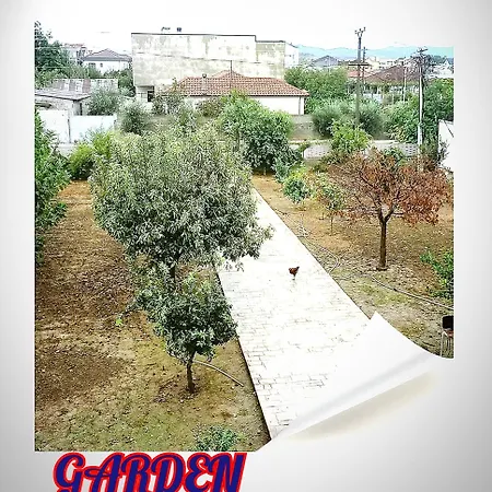 Elena View Durres *