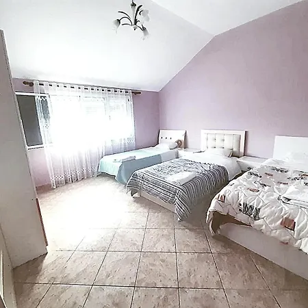 Elena View Durres