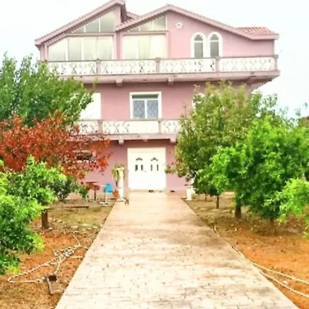 For Rent View Apartment Shijak