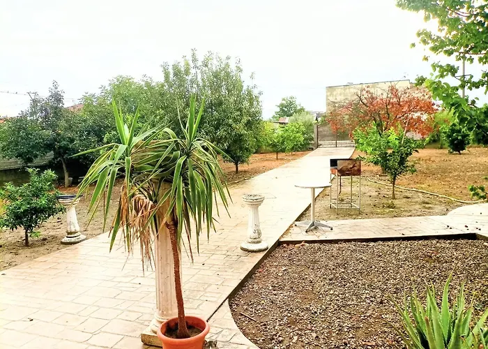 Elena For Rent View Durres Shijak